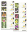 1070612 - First Day Cover