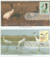 317926 - First Day Cover