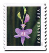 1079908 - Mint Stamp(s)