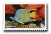 1358629 - Mint Stamp(s)