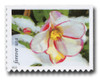 1378837 - Mint Stamp(s)