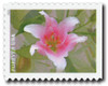 1182384 - Mint Stamp(s)