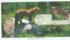 330409 - First Day Cover