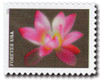 1182382 - Mint Stamp(s)