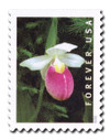 1079941 - Mint Stamp(s)