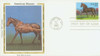 310738 - First Day Cover