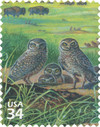 326642 - Mint Stamp(s)