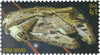 332377 - Mint Stamp(s)