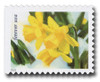 1378848 - Mint Stamp(s)