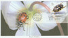 324818 - First Day Cover