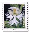 1079920 - Mint Stamp(s)