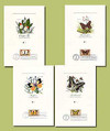 1715 - 1977 13c Butterflies: Orange-Tip - Mystic Stamp Company