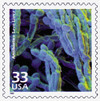 322340 - Mint Stamp(s)