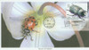 324800 - First Day Cover