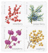 1027598 - Mint Stamp(s)