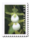 1079933 - Mint Stamp(s)