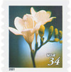 326269 - Mint Stamp(s)