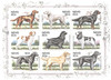 223650 - Mint Stamp(s) 