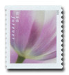 1433083 - Mint Stamp(s)