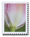 1433130 - Mint Stamp(s)