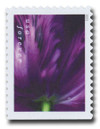 1433140 - Mint Stamp(s)