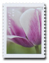 1433163 - Mint Stamp(s)