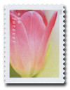 1433166 - Mint Stamp(s)