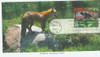 330391FDC - First Day Cover