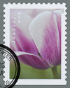 1433164 - Used Stamp(s)