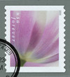 1433084 - Used Stamp(s)