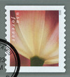 1433098 - Used Stamp(s)