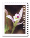 1079951 - Mint Stamp(s)