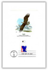 42476 - First Day Cover