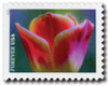 1182387 - Mint Stamp(s)