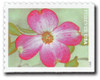 1182366 - Mint Stamp(s)