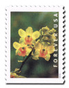 1079961 - Mint Stamp(s)