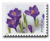 1378835 - Mint Stamp(s)