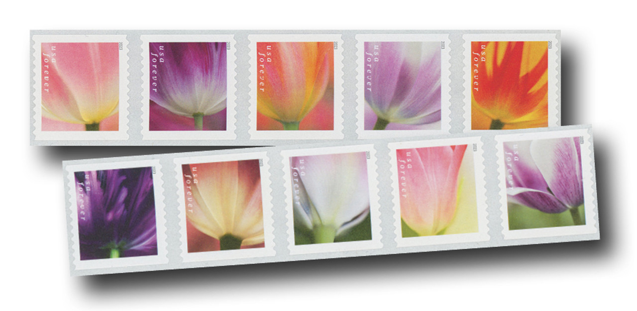 Forever Stamps First Class Postage Stamps Tulip Blossoms 100pcs/Pack ~5  Sheets of 20 (100 total mailing stamps)