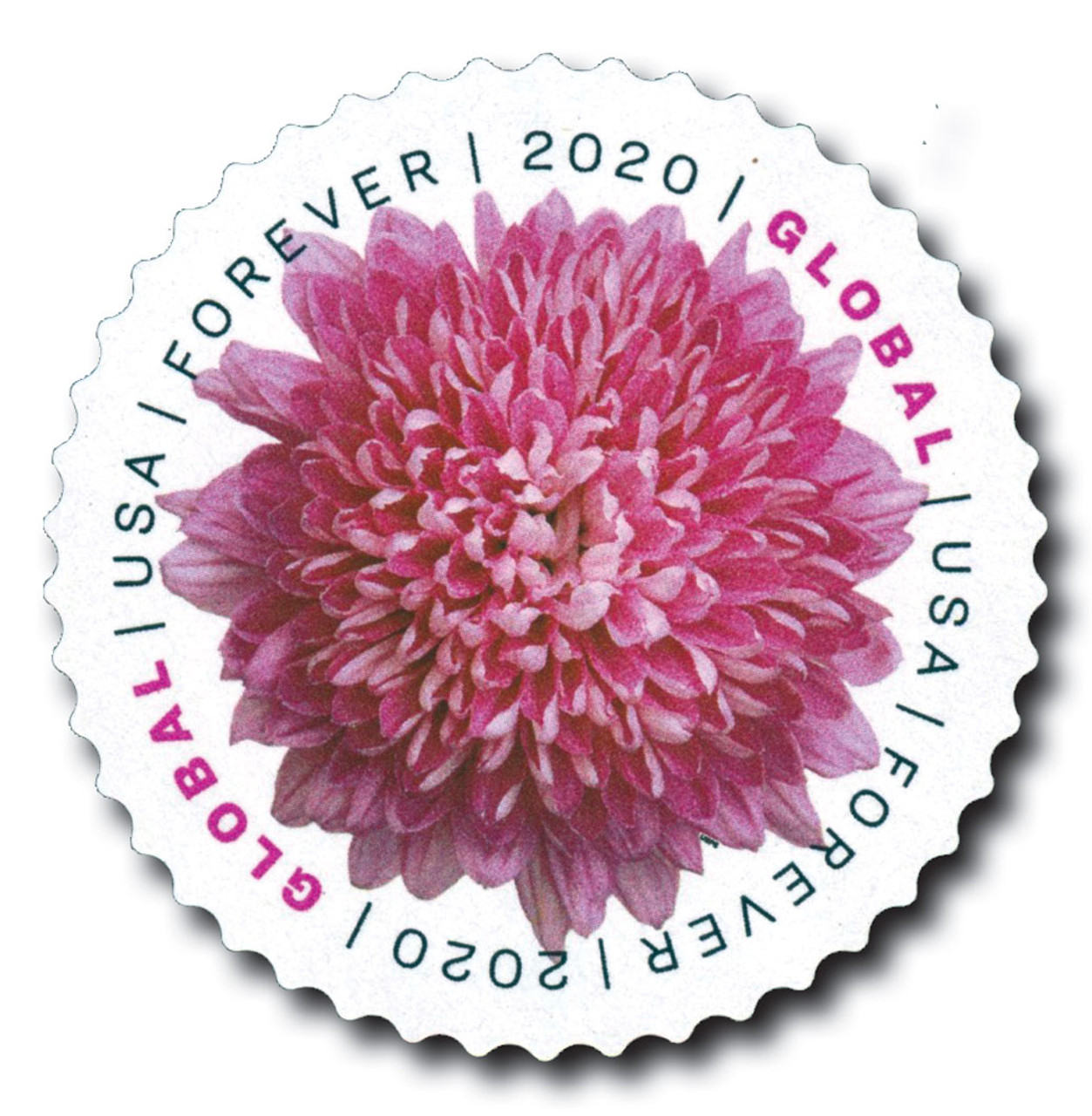 5460 - 2020 Global Forever Stamp - Chrysanthemum - Mystic Stamp