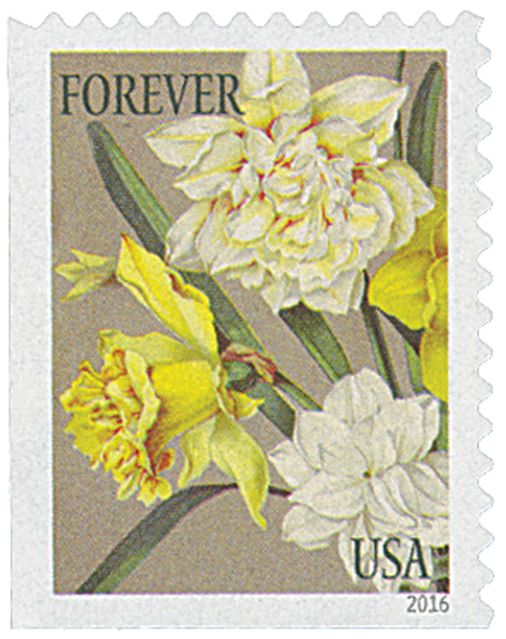 5042-51 - 2016 First-Class Forever Stamp - Botanical Art - Mystic Stamp  Company