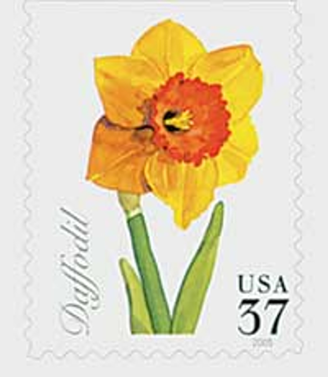 Spring Flower Rubber Stamp, Flower Stamp, Daffodil Stamp, Hyacinth Stamp,  Dandelion Stamp, Wedding Stamp, Nature Stamp, Art Stamp