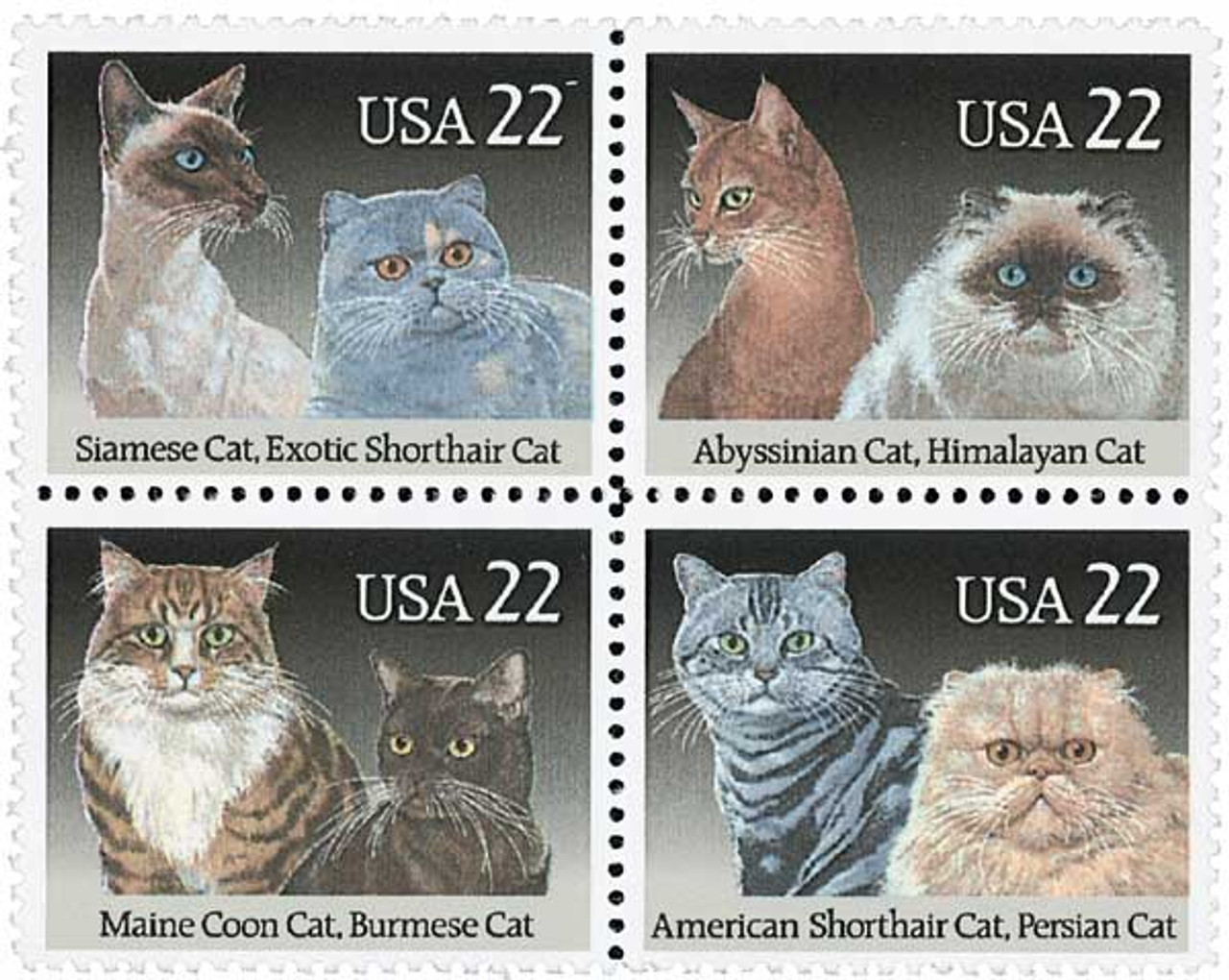 Old Made Gray Cat Stamp Yardage | SKU# C10599-GRAY