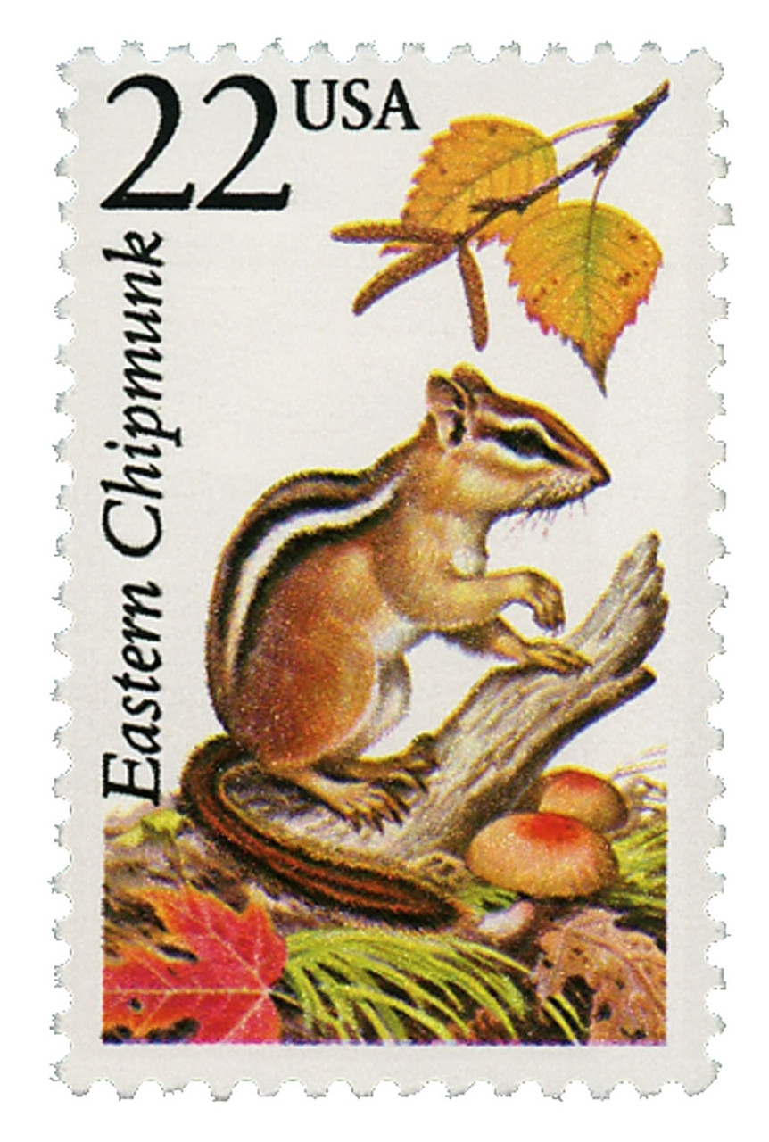 Woodland Wildlife Postage Stamp Set Retro Wild Animal Illustrations on  Vintage Romania European Postal Stamps Rabbit Squirrel Fox Hare 