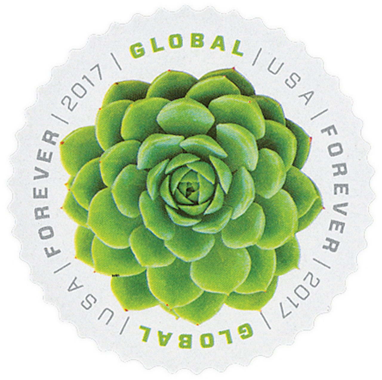  2018 Global Poinsettia Forever Stamps - Always Good for 1 Oz  International First-Class Mail (3 Sheets of 10) : Office Products