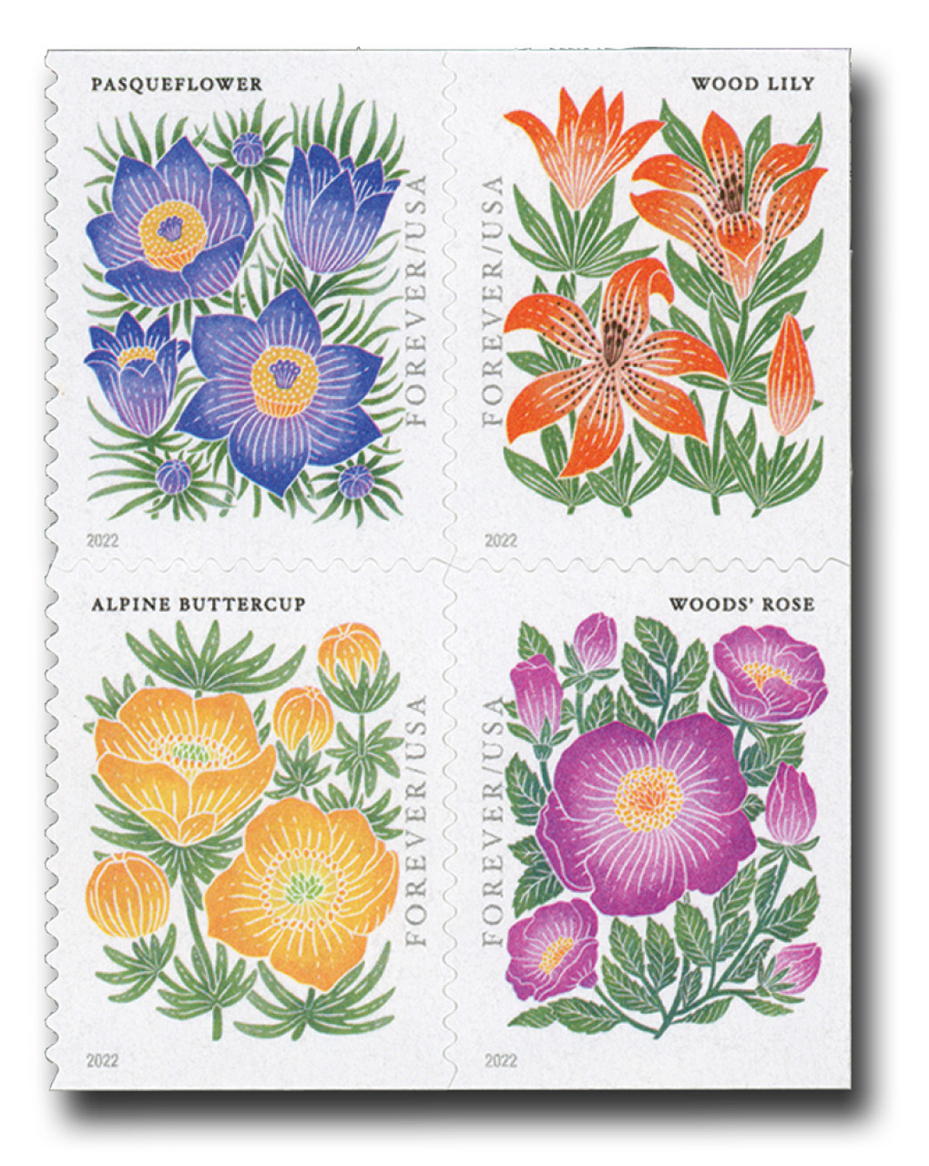  Mountain Flora Flower US First Class Forever Postage