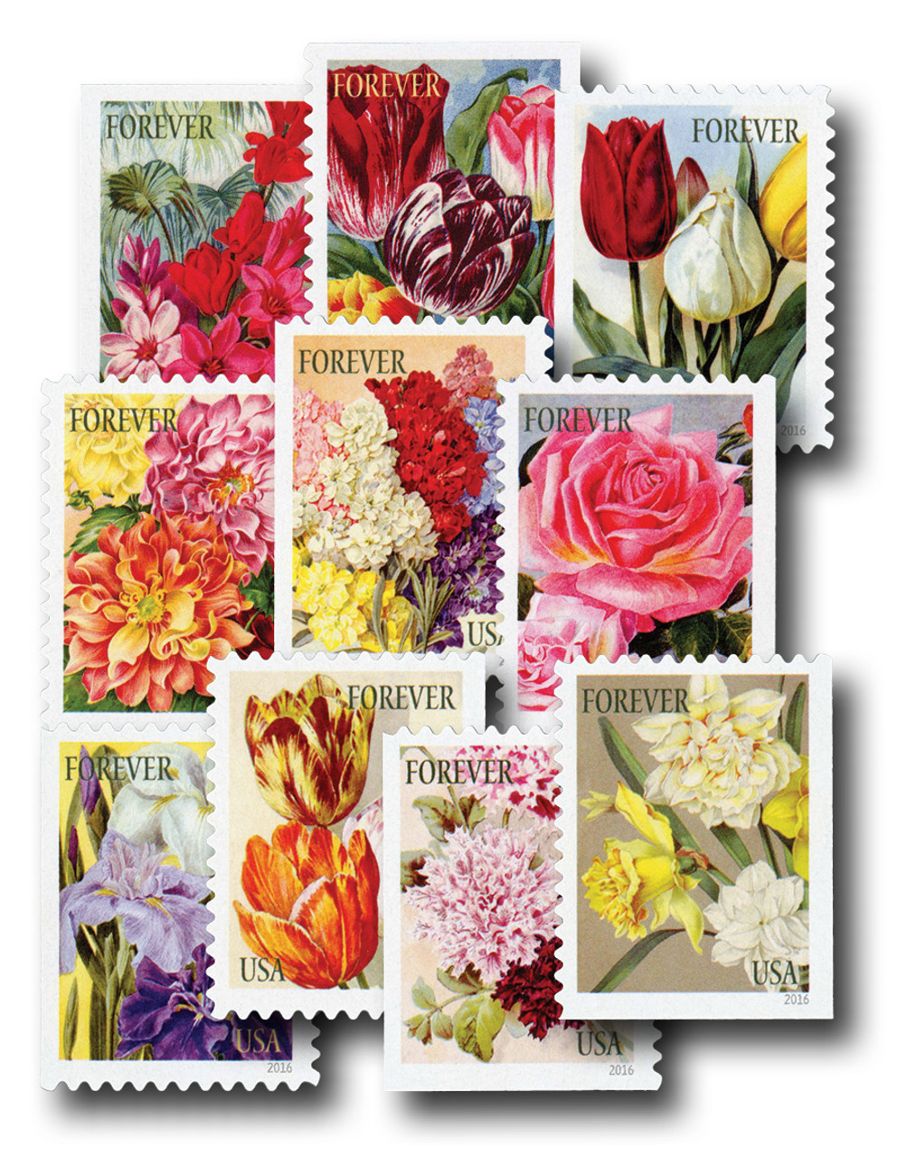 5042-51 - 2016 First-Class Forever Stamp - Botanical Art - Mystic Stamp  Company