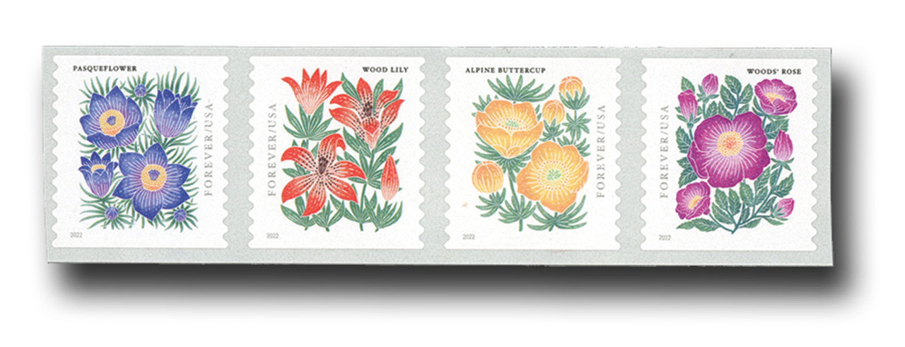 5672-75 - 2022 First-Class Forever Stamps - Mountain Flora (coil) - Mystic  Stamp Company