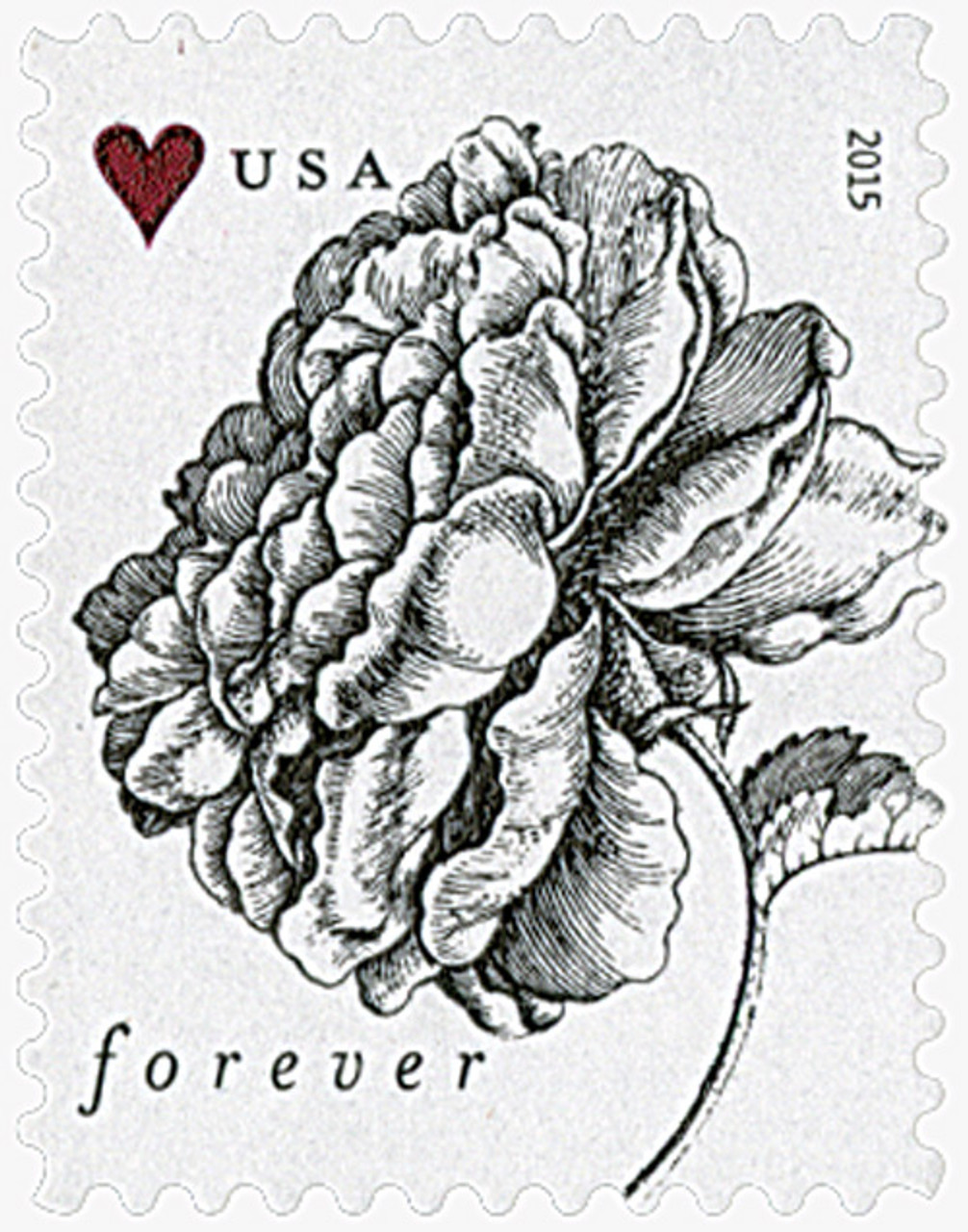 Tulip Blossoms Forever Postage Stamps Book of 20 Self-Stick Stamp for USPS  First Class Envelopes (20 Stamps)
