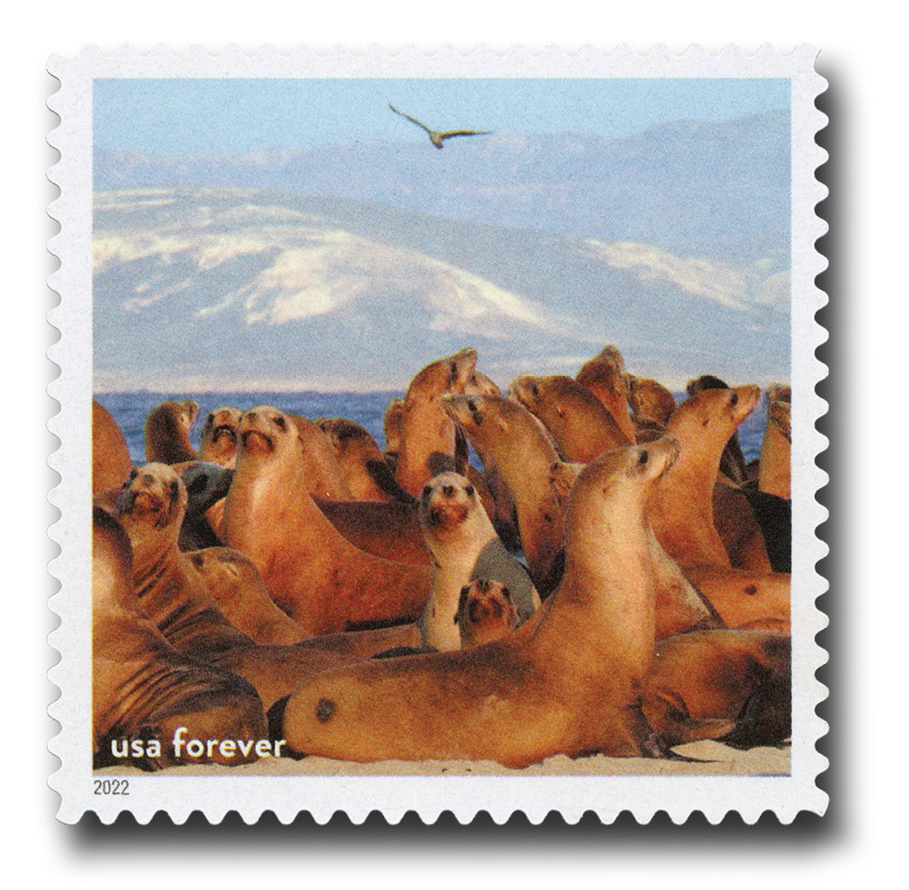 15 Art of Magic US Forever postage stamps – Tiny and Snail