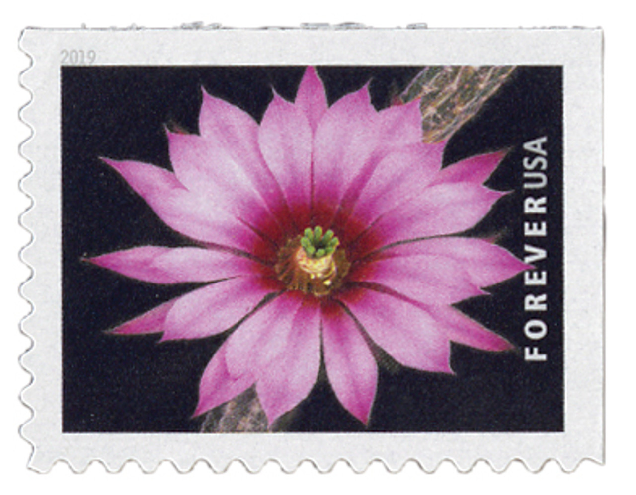  Cactus Flowers Book of 20 Forever First Class Postage